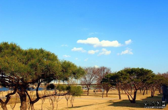 汝矣岛公园