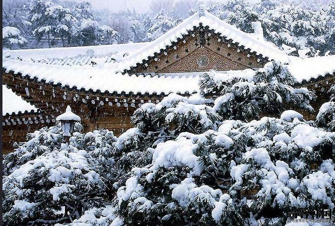 雪景.jpg