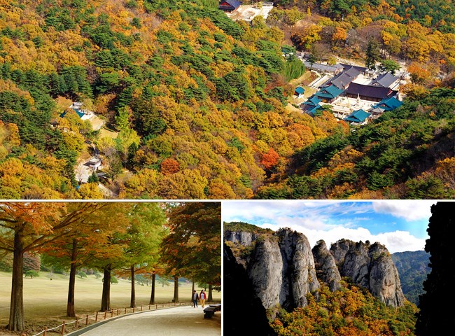 10月韩国赏枫景点