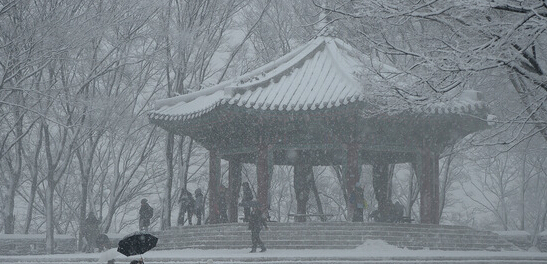 2014韩国 雪景