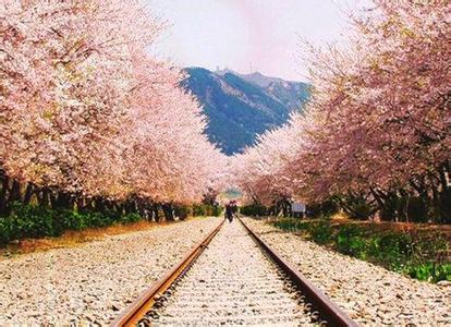 不同季节到韩国不同地方去旅游