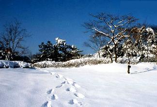 春节去韩国感受滑雪的乐趣