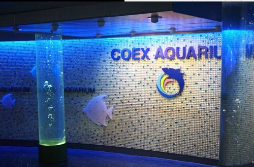 COEX水族馆