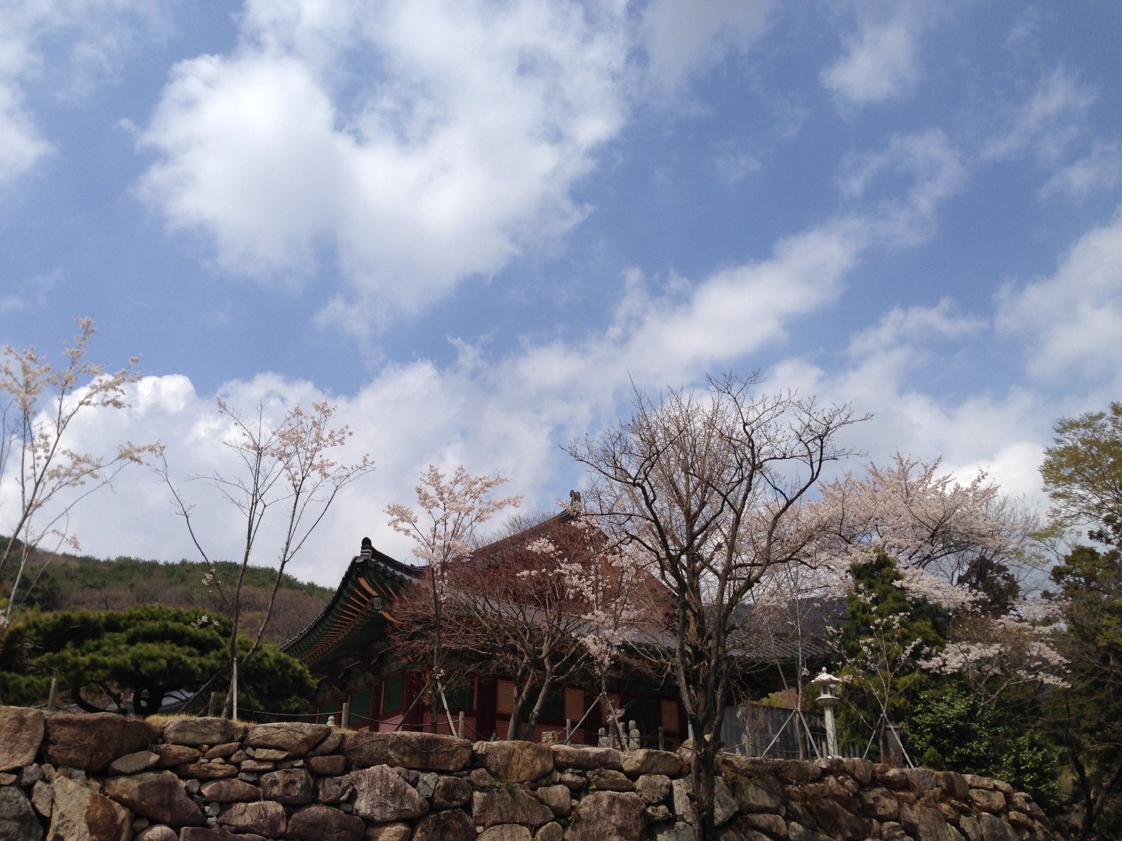 釜山金井山梵鱼寺3