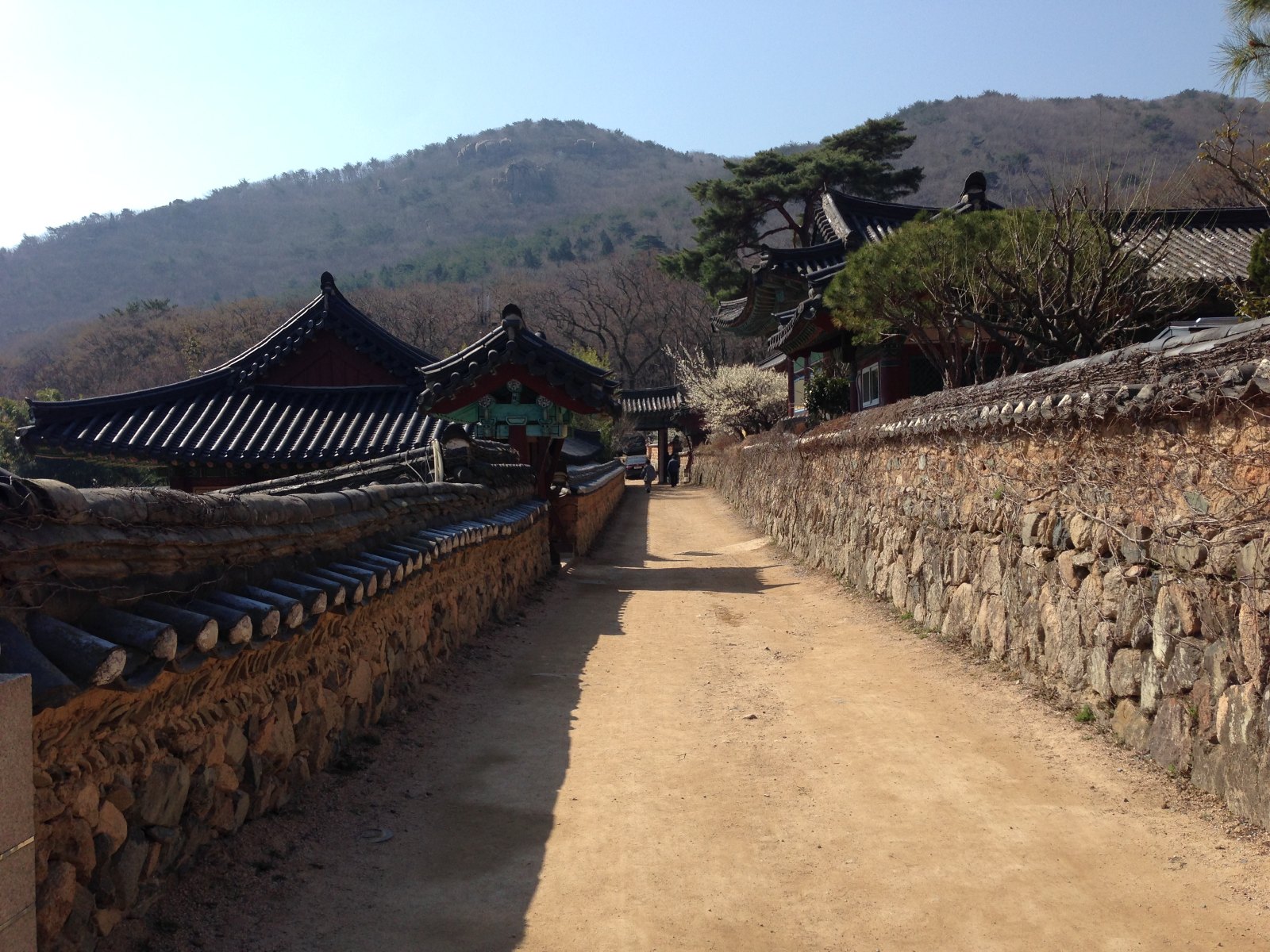 釜山金井山梵鱼寺路