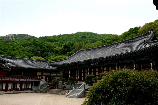 釜山金井山梵鱼寺