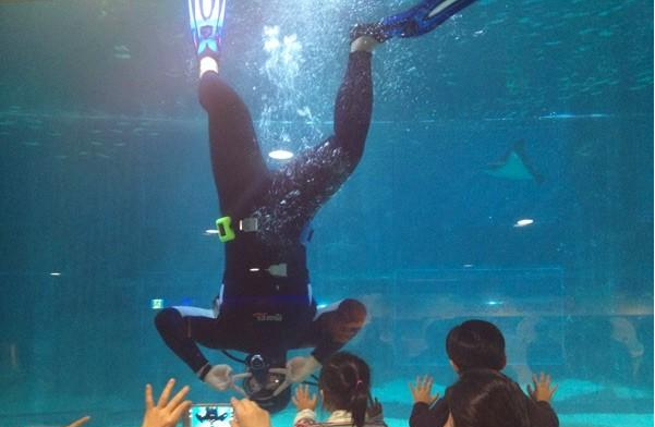 水族馆插图4