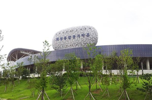 华城综合竞技场11