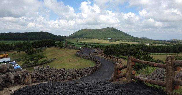 济州岛山君不离8