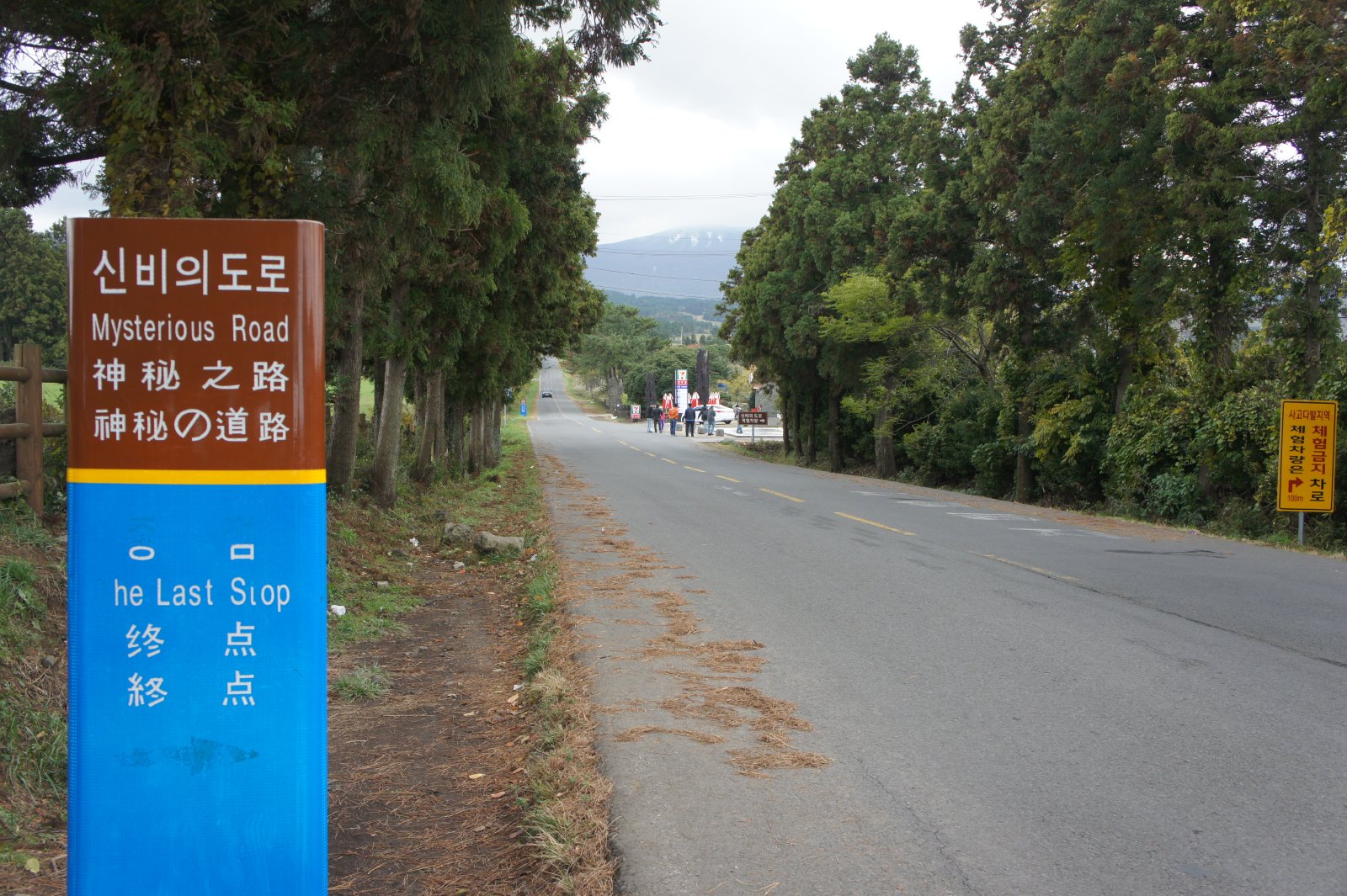韩国济州岛神秘道路
