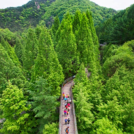 长泰山自然休养林