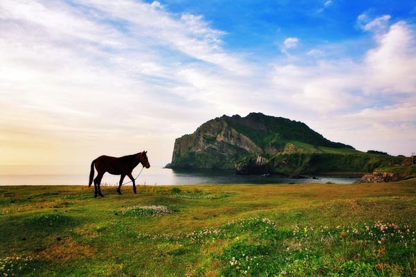 济州岛城山日出峰