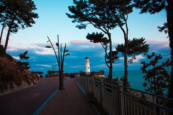 海边夜景