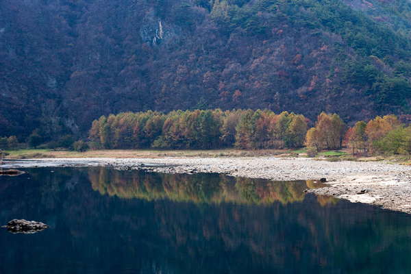 旌善湖边景