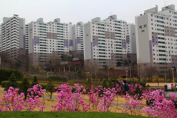 韩国  梨花大学