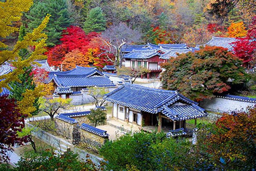 韩国秋景