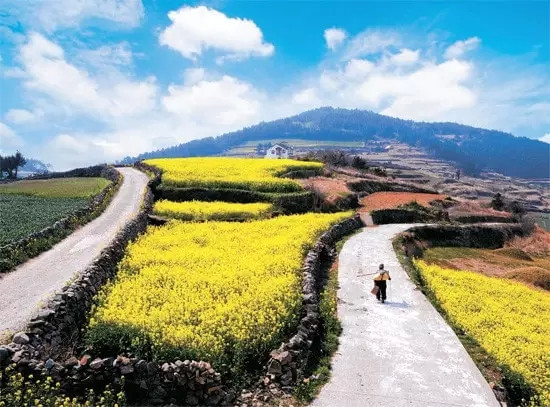 완도 청산도 莞岛 青山岛