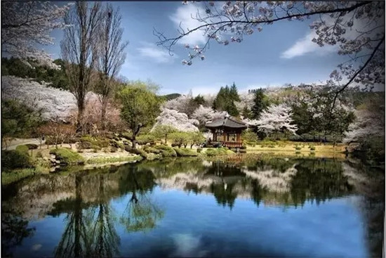 경상북도 庆尚北道（6所） 경주 보문정 庆州 普门亭
