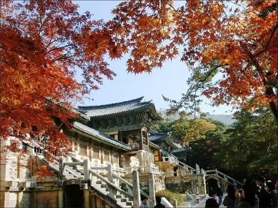 경주 불국사 庆州 佛国寺