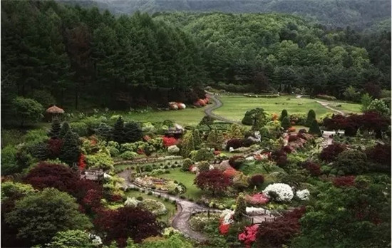 가평 아침고요수목원 加平 晨静树木园