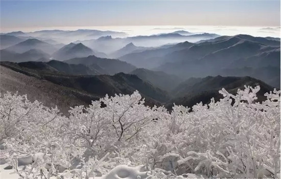 태백산 설경 太白山雪景