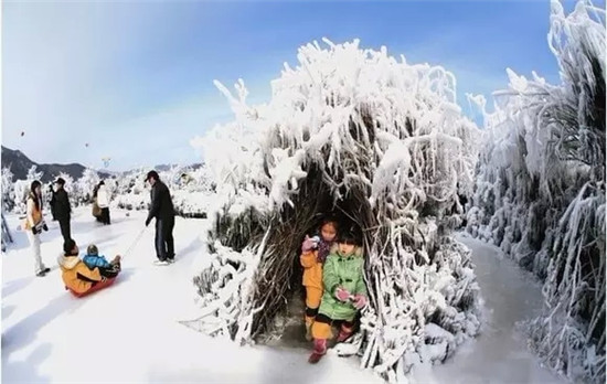 인제 빙어축제 麟蹄郡 冰鱼节