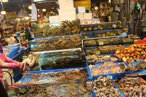 【江原道美食】新鲜美味的生鱼片和辣鱼汤   探访鹭粱津水产市场“江陵水产”