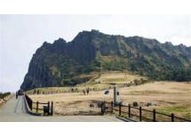 济州【汉拿山高地+泰迪熊博物馆】一日游
