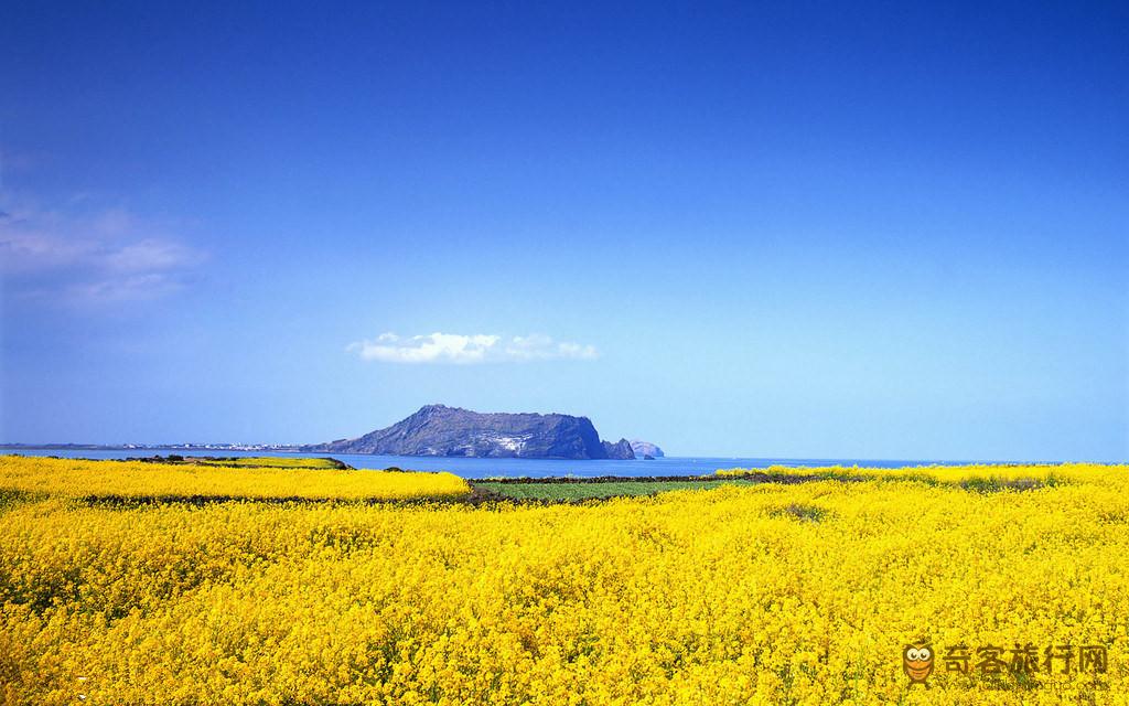 济州岛