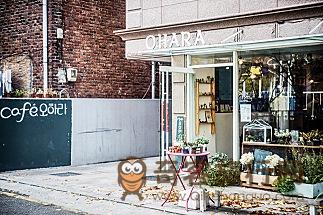 兄妹经营的日本家庭式餐厅——CAFF OHARA（카페 오하라）