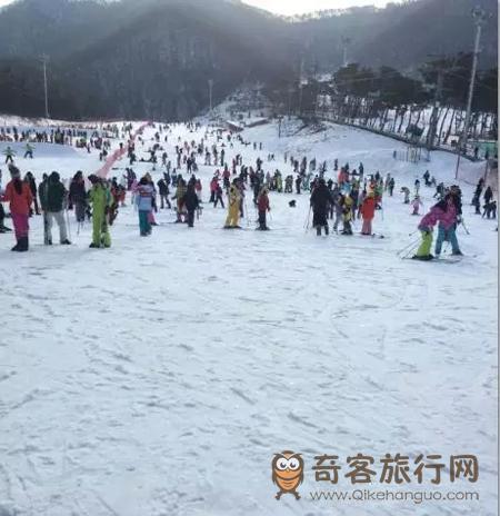  京畿道芝山森林滑雪