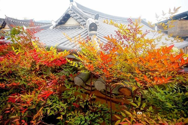 全州韩屋村  전주 한옥마을