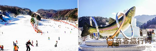 图片) 平昌滑雪场全景(左) / 平昌松鱼庆典现场(右)