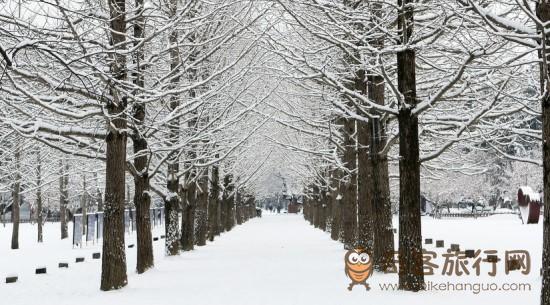 韩国首尔周边冬季赏雪之旅