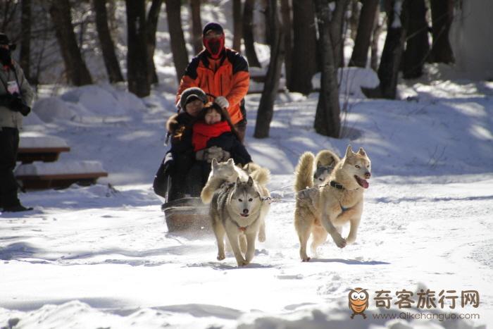 太白山雪花庆典 태백산눈꽃축제