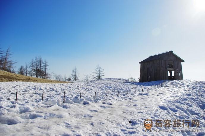 大关岭羊群牧场 대관령 양떼목장