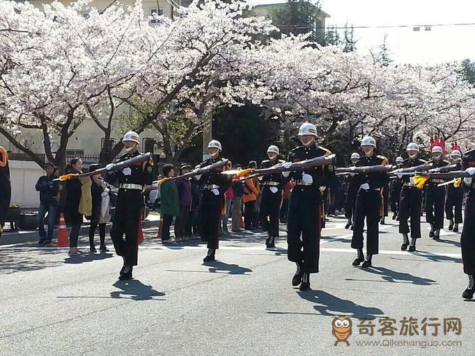 庆典一   2016镇海军港节（진해군항제）