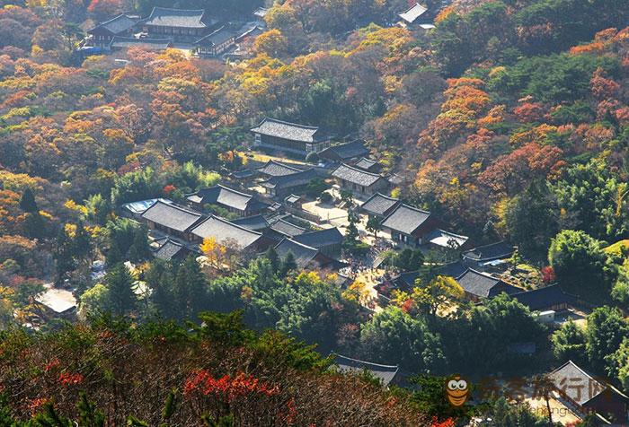 ▲韩国岭南三大寺庙之一的梵鱼寺，秋天的枫叶最美