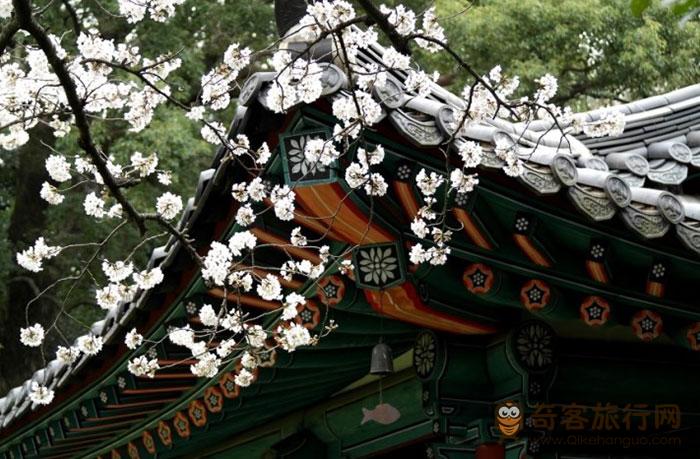 充满着神话色彩的漫步之地：三姓穴