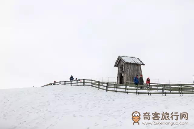 江原道 大关岭羊群牧场雪景