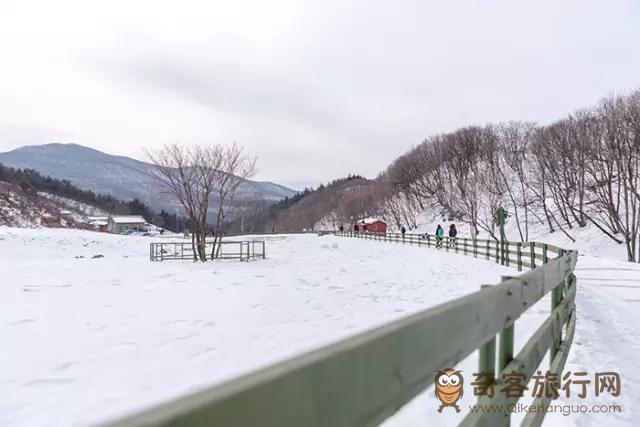 江原道 大关岭羊群牧场冬景