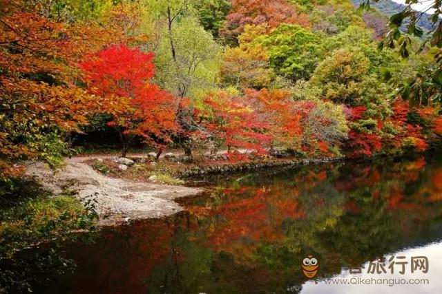 全罗北道 高敞禅云寺秋景 全罗北道 高敞禅云寺秋景