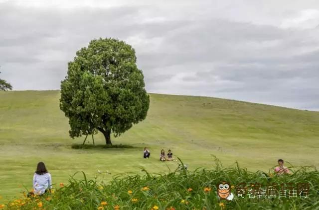 孤独的树和热闹的人