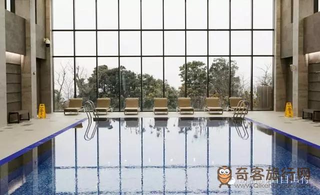 酒店内的游泳池