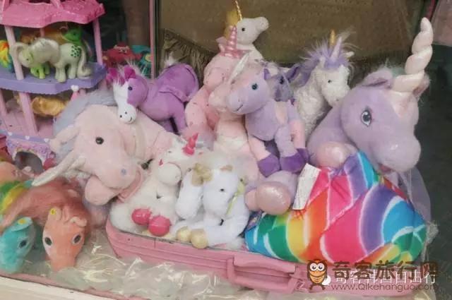 只做展示的萌物
