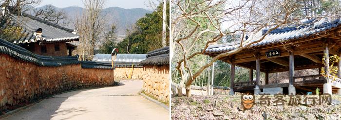 阔谷村的石墙路(左) / 月峰书院的七松亭(右)