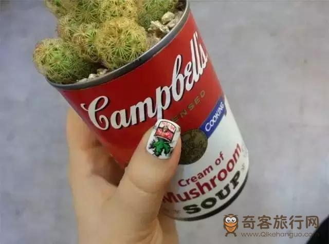 仙人掌