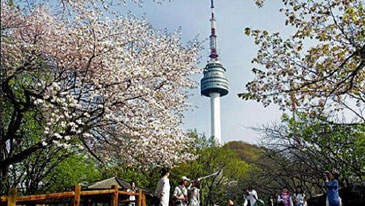 首尔塔